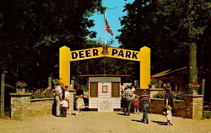 Michigans Adventure (Deer Park) - 1960S POSTCARD AS DEER PARK